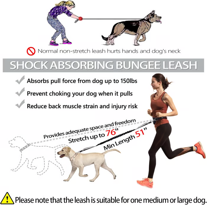PawsFree Pro – Stressfreie Spaziergänge mit deinem Hund!