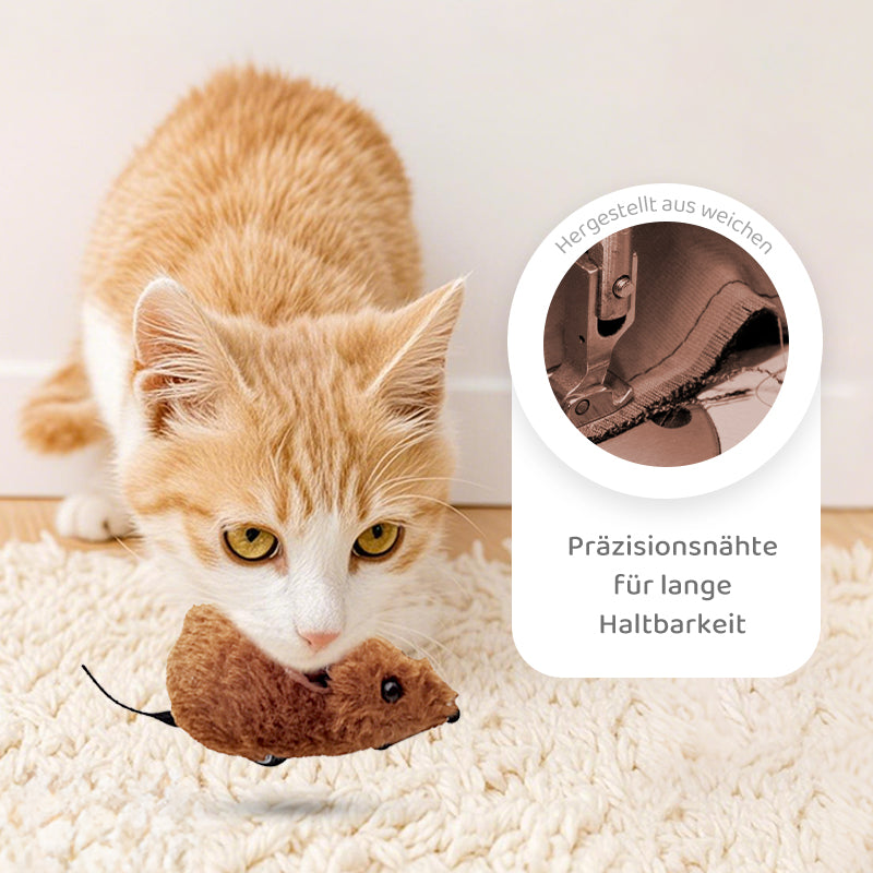 2+1 GRATIS | PawChase – Jagen, spielen, juchzen – der Spaß für deine Katze!