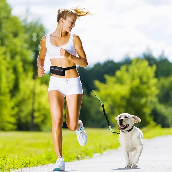 PawsFree Pro – Stressfreie Spaziergänge mit deinem Hund!