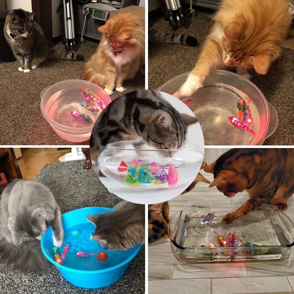 Pawquatik Katzenspielzeug | Beweglicher LED-Fisch | Wassersicher & robust | Fördert Aktivität & Jagdinstinkt | Für Katzen jeden Alters
