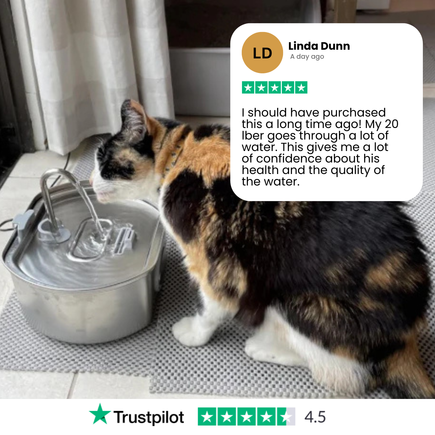 Aquaelix Trinkbrunnen Katze | Edelstahl & Hygienisch | Leise Pumpe | 2,5 L Volumen | Für Gesunde Hydration
