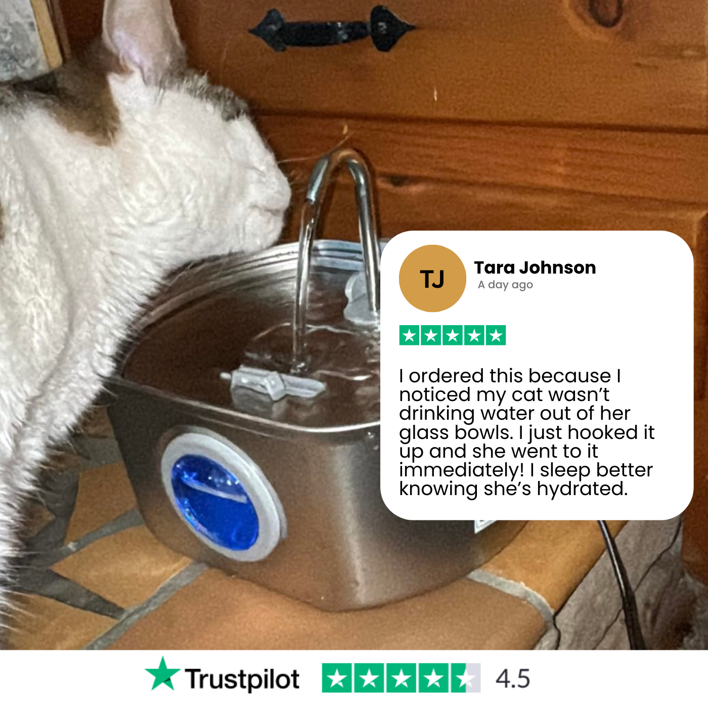 Aquaelix Trinkbrunnen Katze | Edelstahl & Hygienisch | Leise Pumpe | 2,5 L Volumen | Für Gesunde Hydration