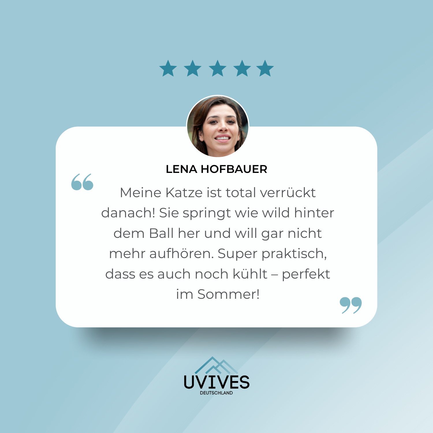 PawGlide – Das schwebende Spiel für aktive Stubentiger!