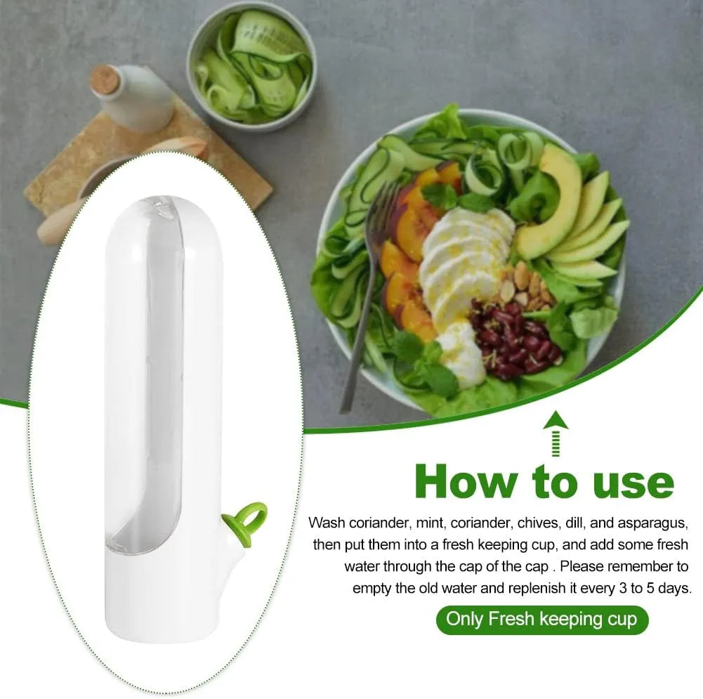 1+1 GRATIS | HerbPod - Frischhaltebehälter für Gemüse und Kräuter [Letzter Tag Rabatt]