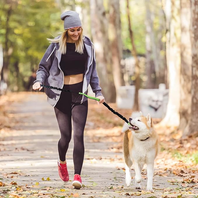 PawsFree Pro – Stressfreie Spaziergänge mit deinem Hund!