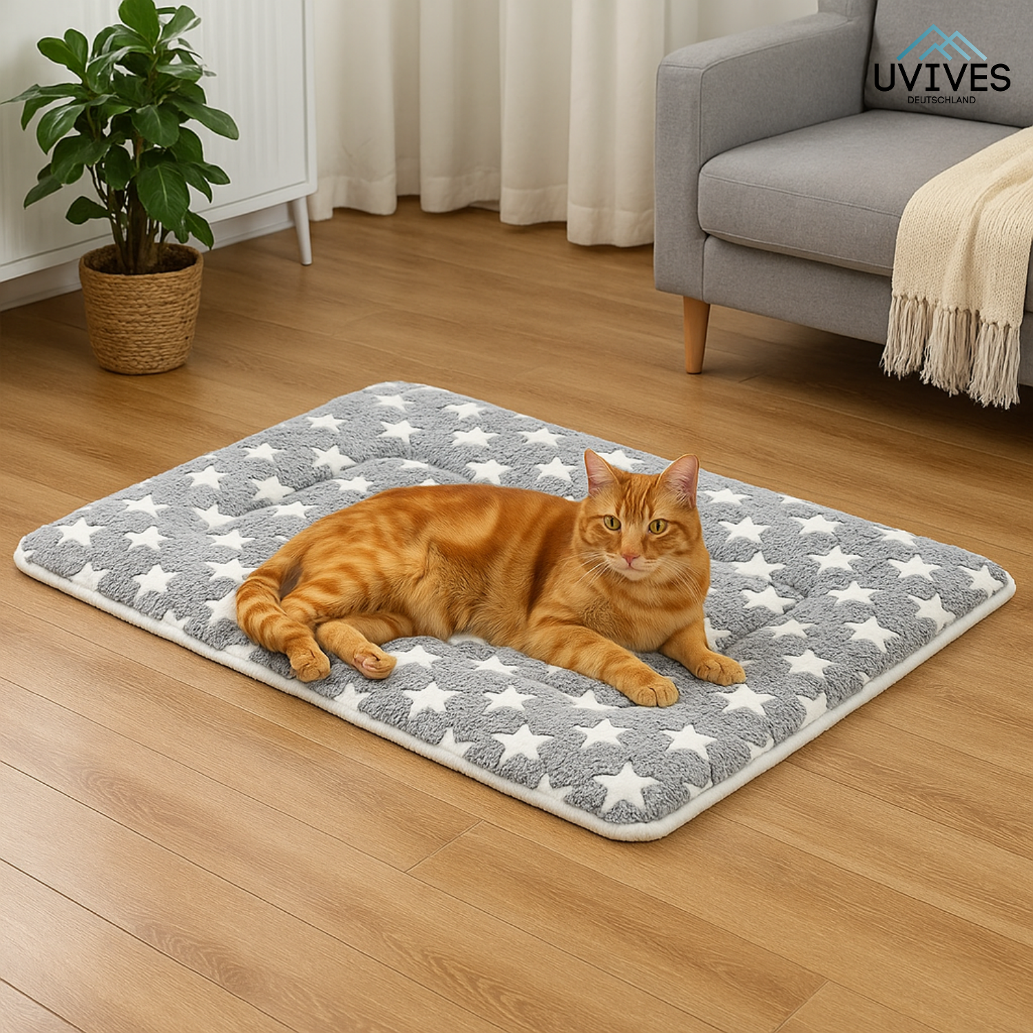 CozyPaw – Tiefenentspannung für deine Katze!