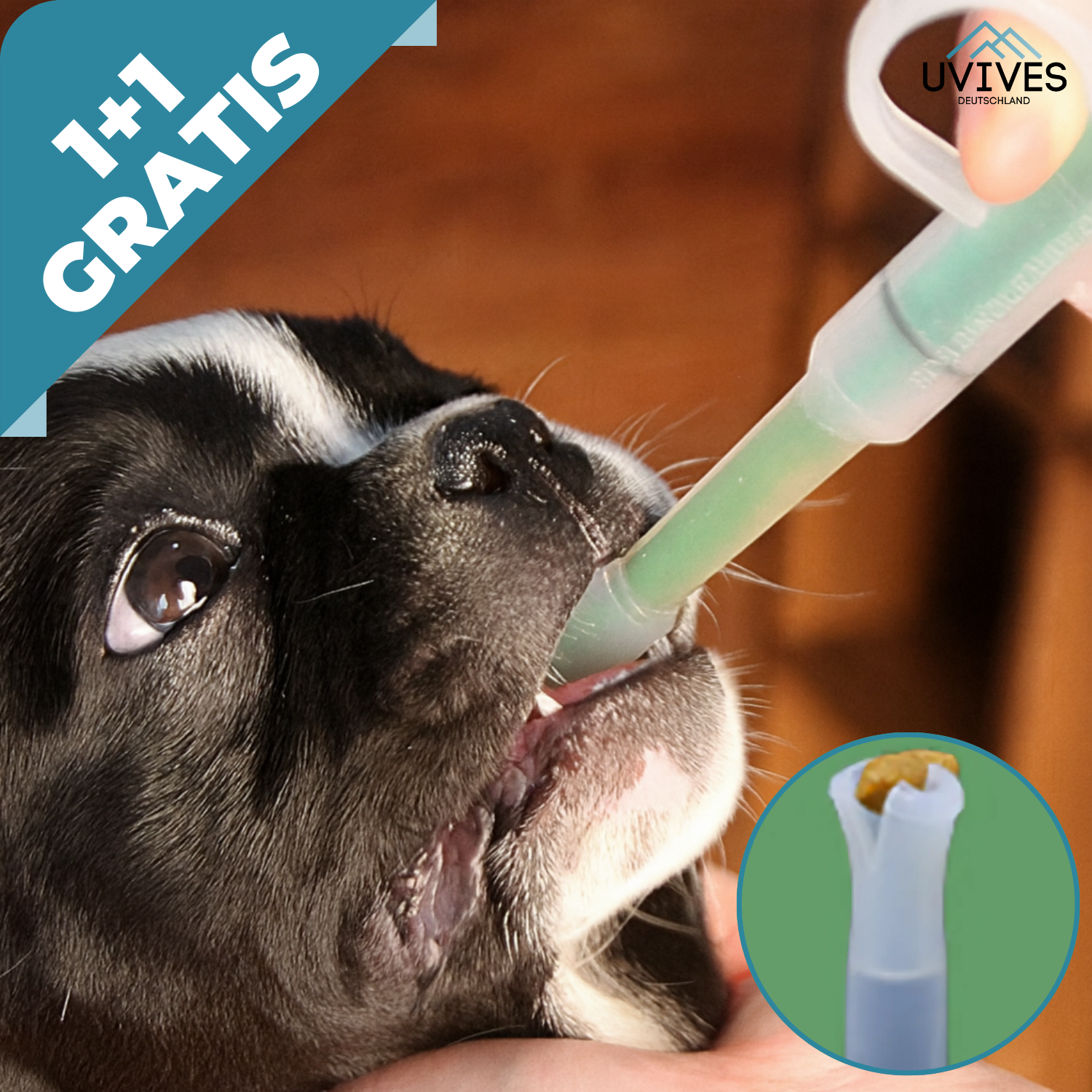 1+1 GRATIS | PetFeeder Pro – Stressfreie Medikamentengabe für Haustiere!