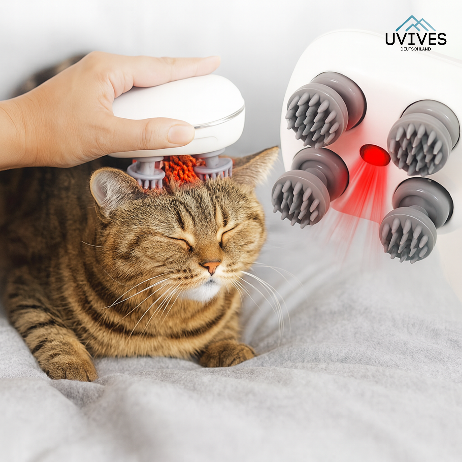 PurrEase – Entspannung, die deine Katze lieben wird!