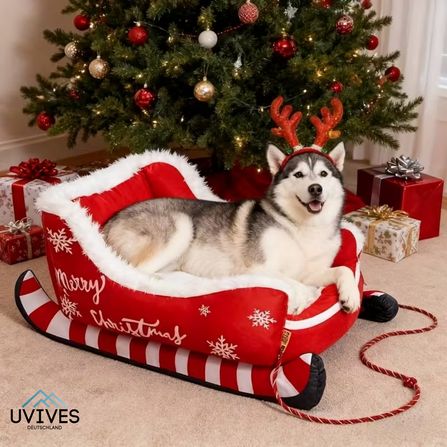 PawSleigh – Das festliche Hundebett für traumhafte Wintertage