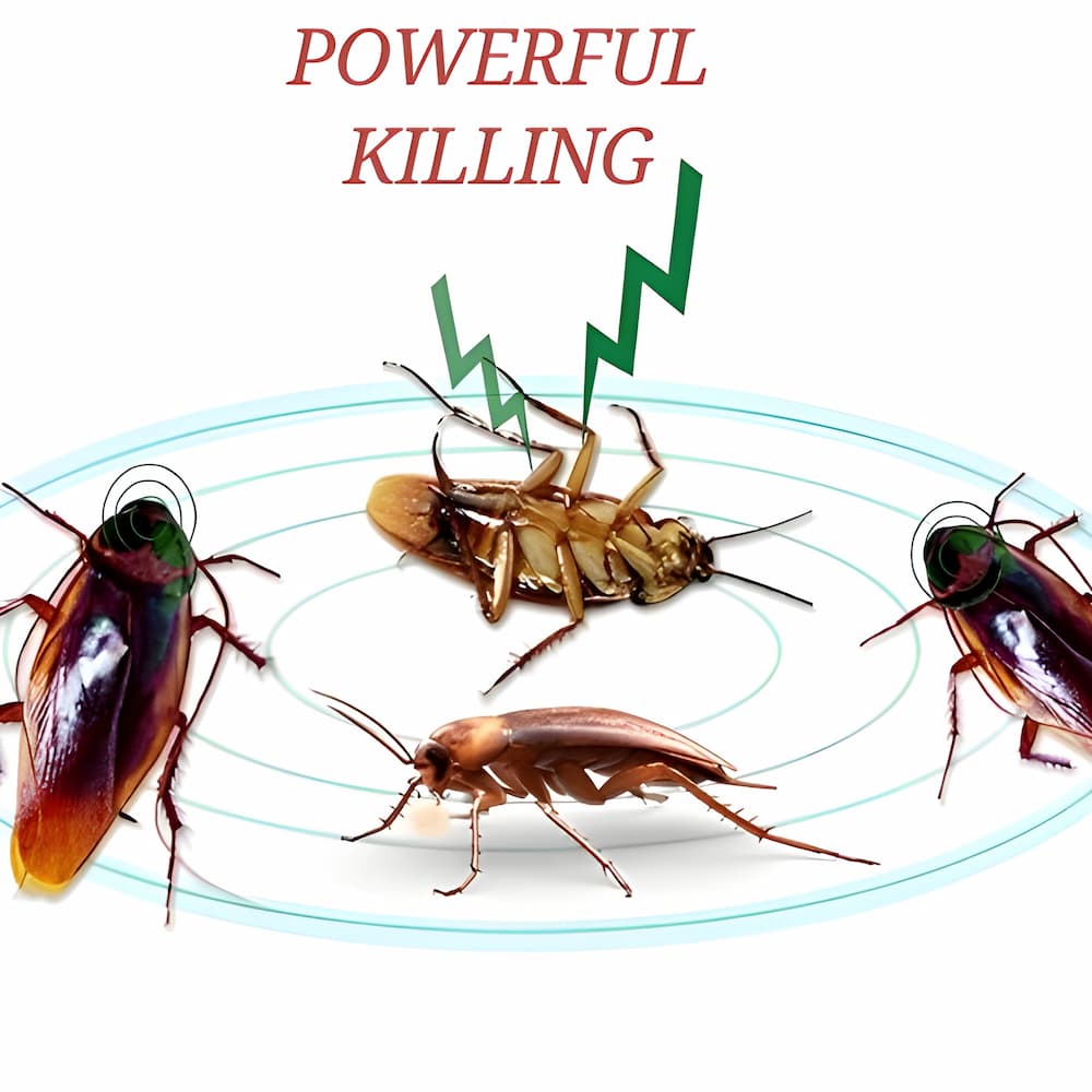 4+4 GRATIS | RoachShield™ – Ihre chemiefreie Lösung gegen Kakerlaken