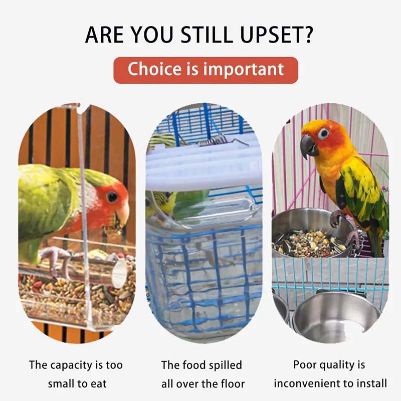 BirdFeed – Saubere Fütterung, zufriedene Vögel, weniger Aufwand
