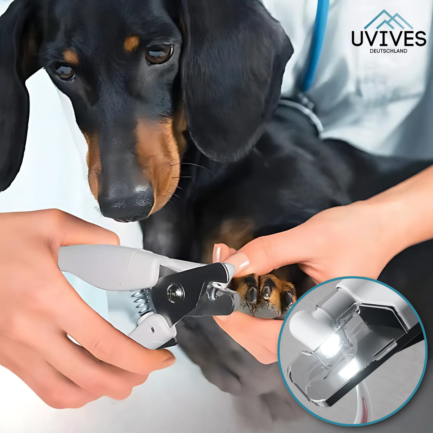 NailGuard™ – Die sichere Nagelpflege für dein Haustier