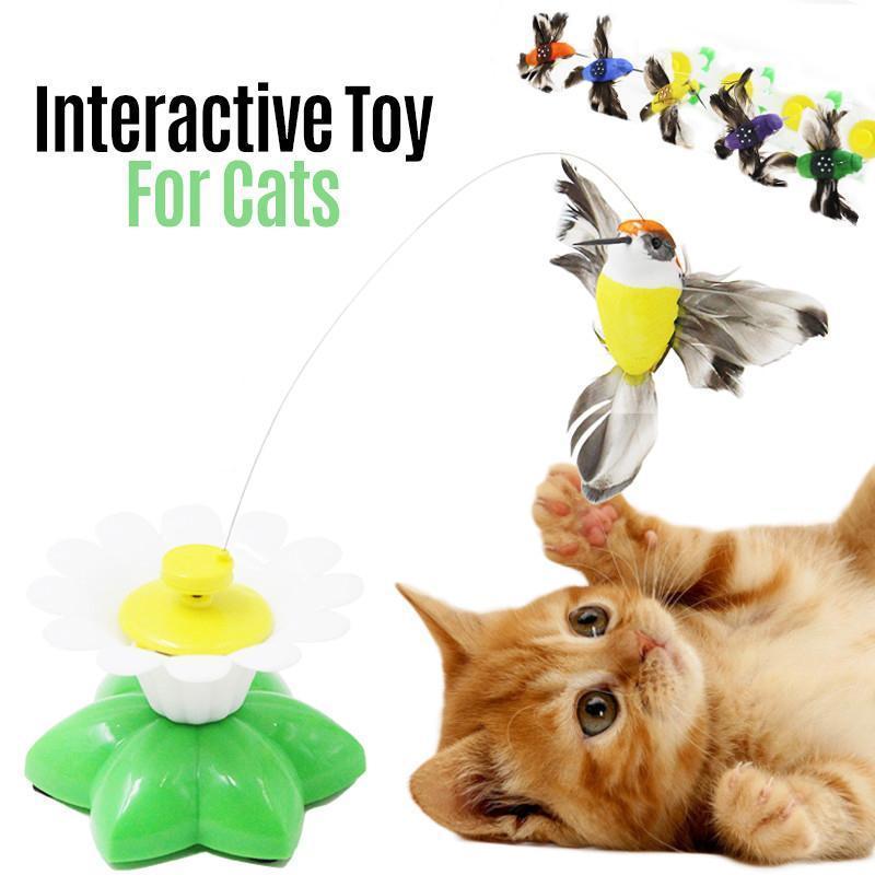 50% RABATT | HappyCats - Interaktives Vogelspielzeug für Katzen [Letzter Tag Rabatt]