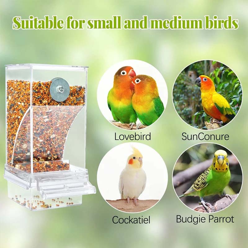 BirdFeed – Saubere Fütterung, zufriedene Vögel, weniger Aufwand