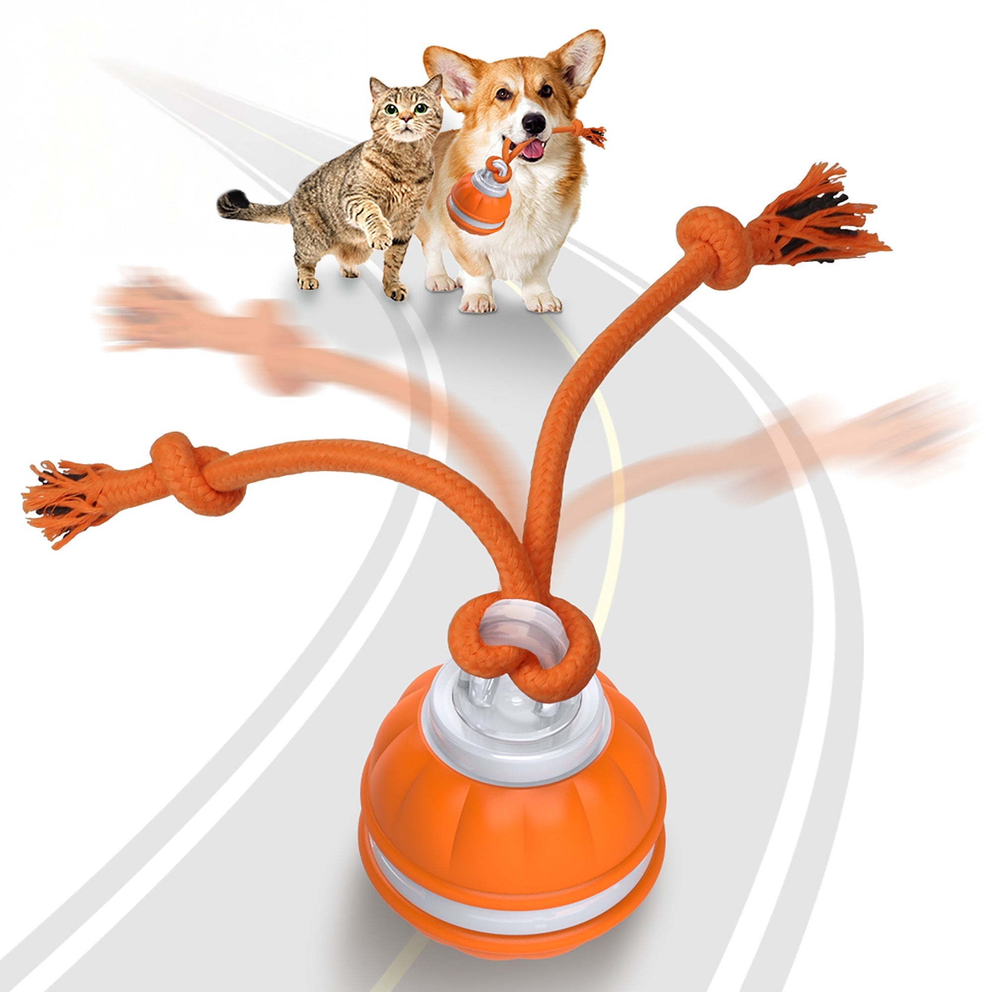 PawiBall – Endlich ein glücklicher & ausgelasteter Hund!