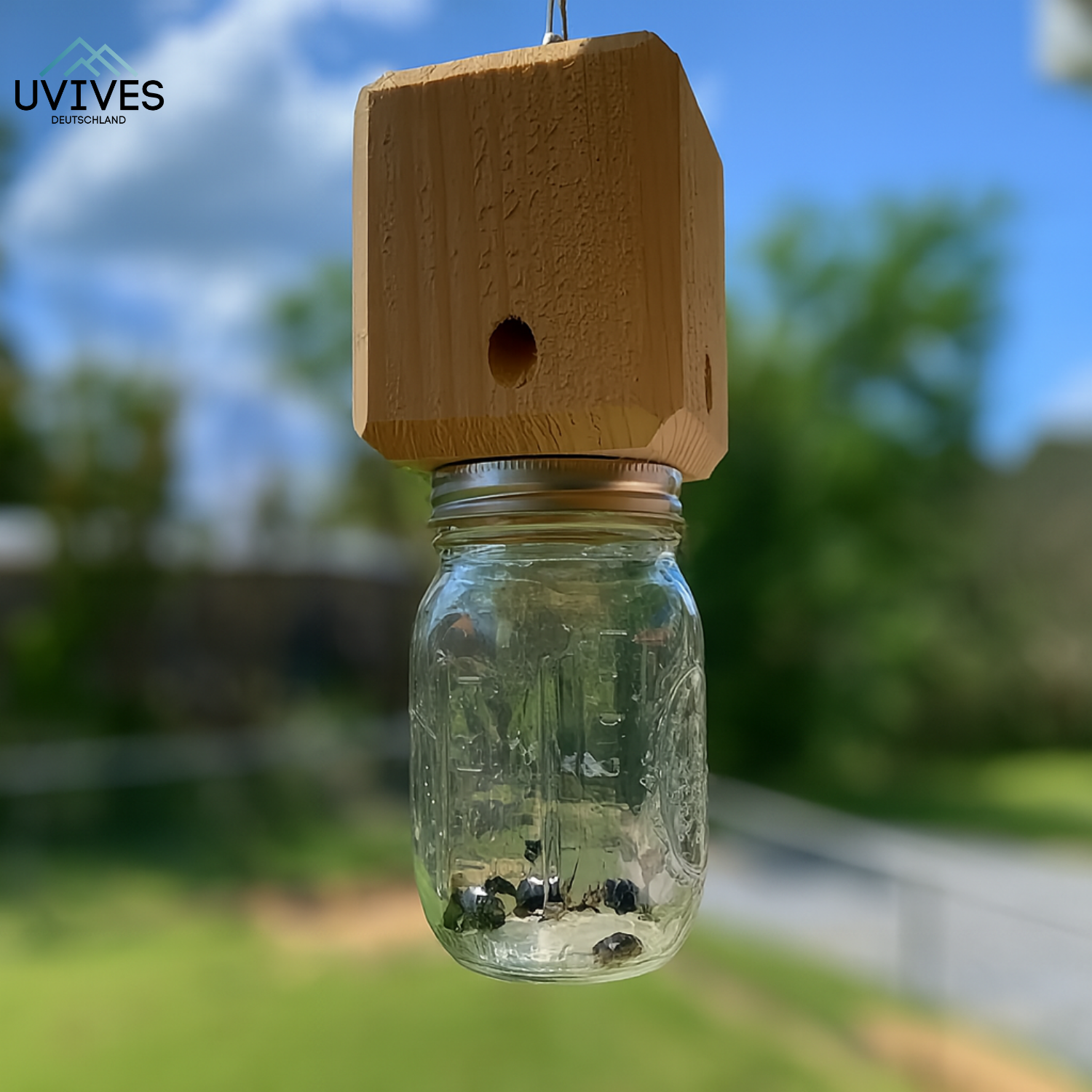 WoodGuard™ – Die chemiefreie Falle gegen Zimmermannsbienen