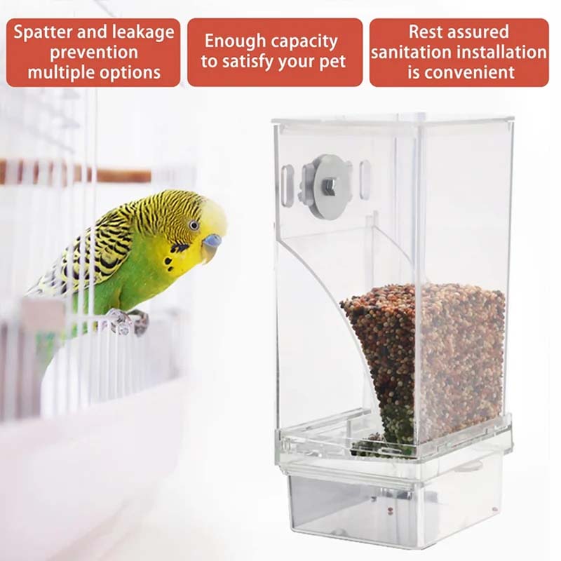BirdFeed – Saubere Fütterung, zufriedene Vögel, weniger Aufwand