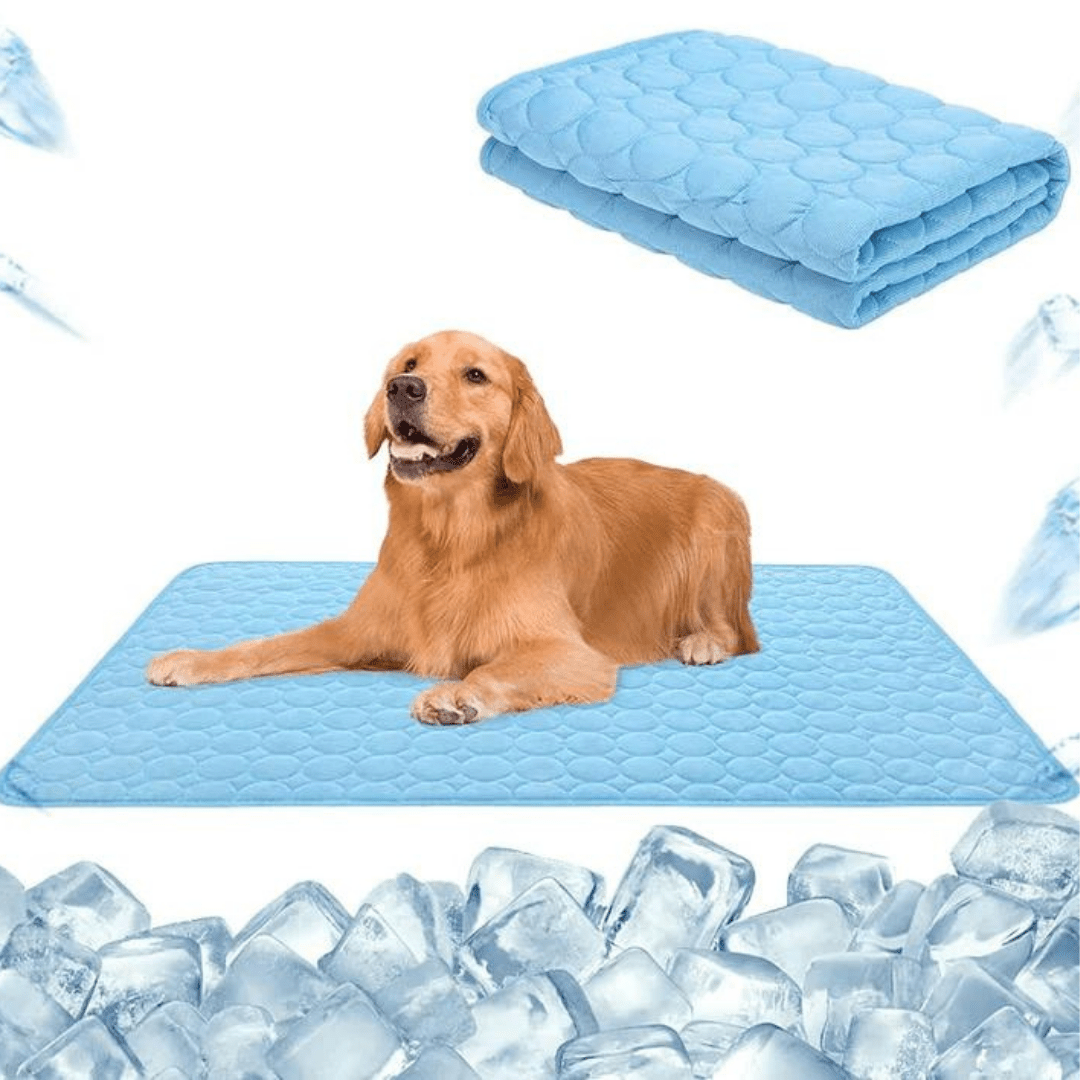 PawCooler ChillMat | Kühlmatte für Haustiere | Selbstkühlend & Komfortabel | Ungiftig