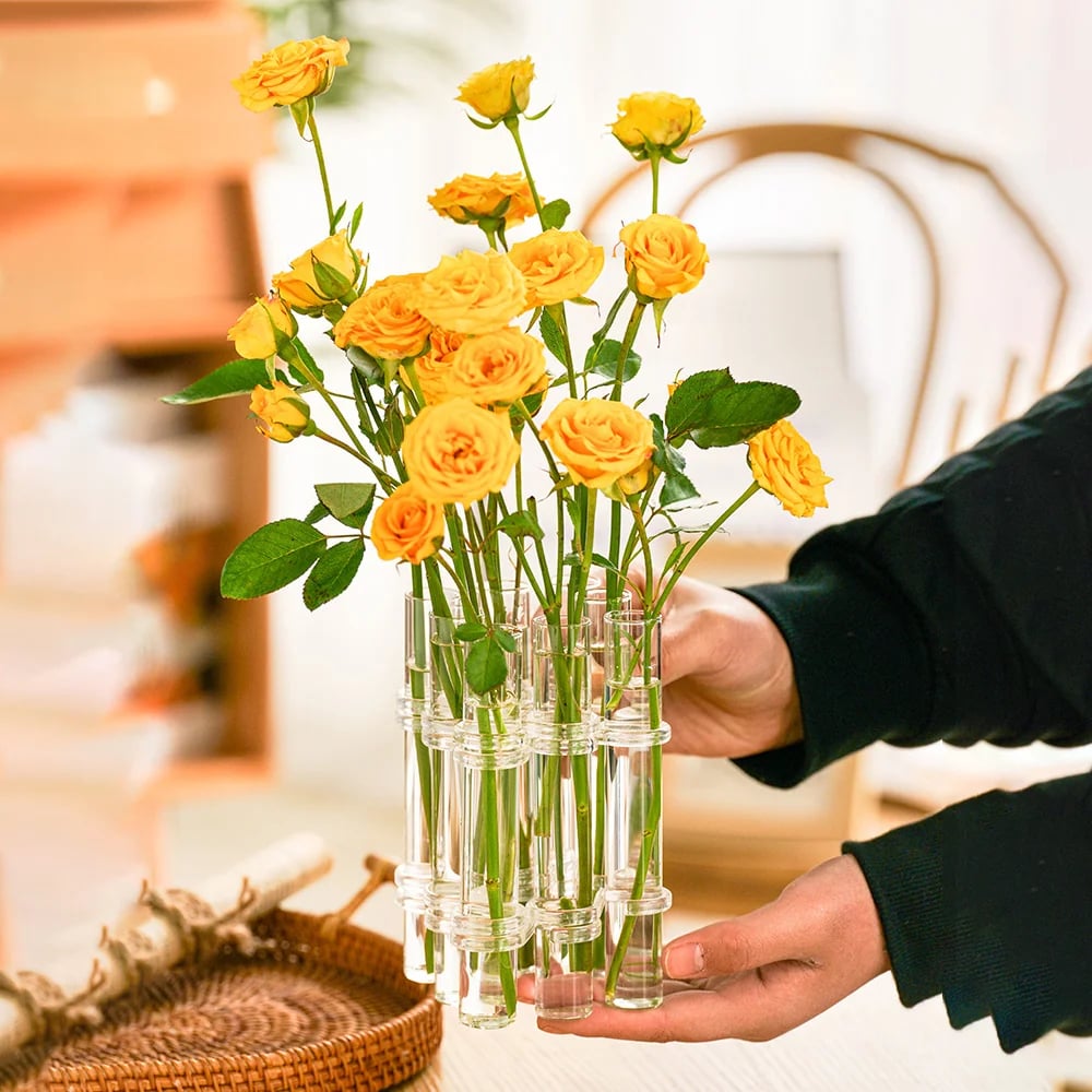 FormiFlor — Die Vase, die jede Blume perfekt in Szene setzt!