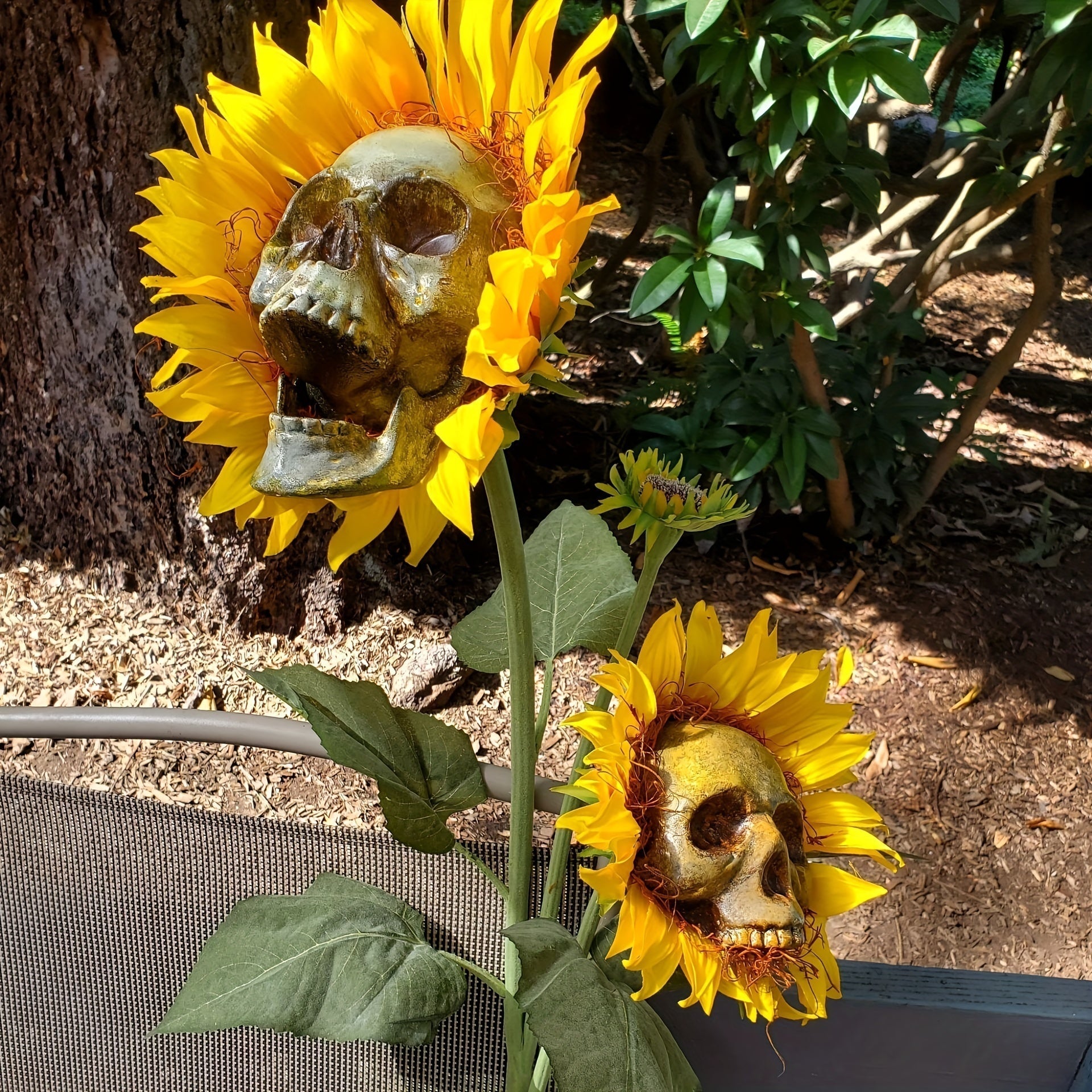 BloomSkull – Die gruselig-schöne Sonnenblume für Halloween!