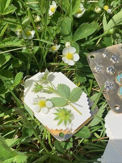 FloraKeep – Ihre Lieblingsblüten für immer bewahren!