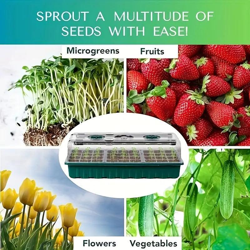 Plantoria Indoor Anzuchtset | Mit LED & 36 Zellen | Komplettset Für Fensterbank & Küche