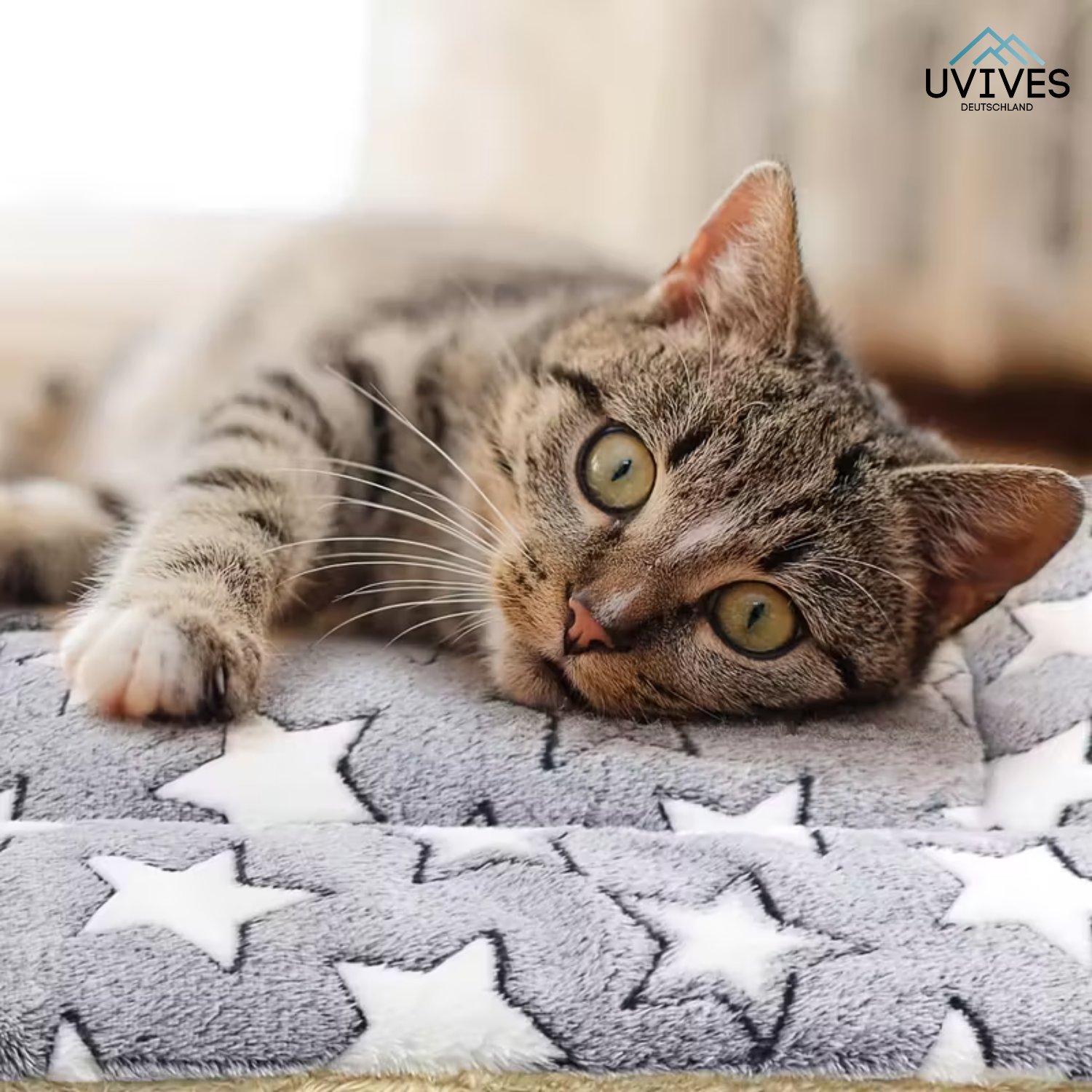 CozyPaw – Tiefenentspannung für deine Katze!
