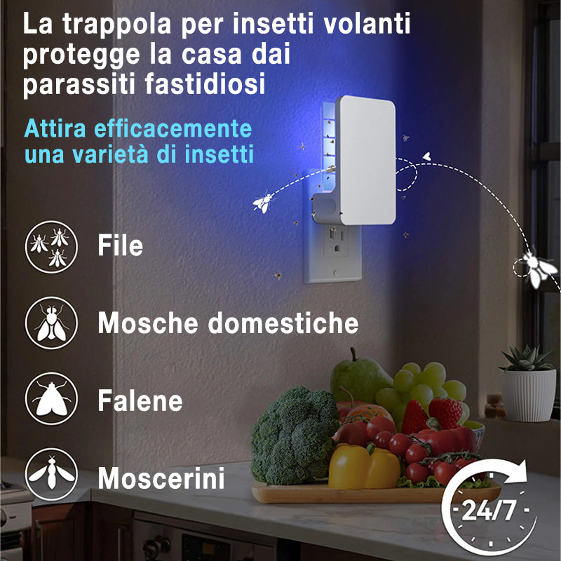 AntiInsect 360 – Nie wieder Fruchtfliegen in der Küche!