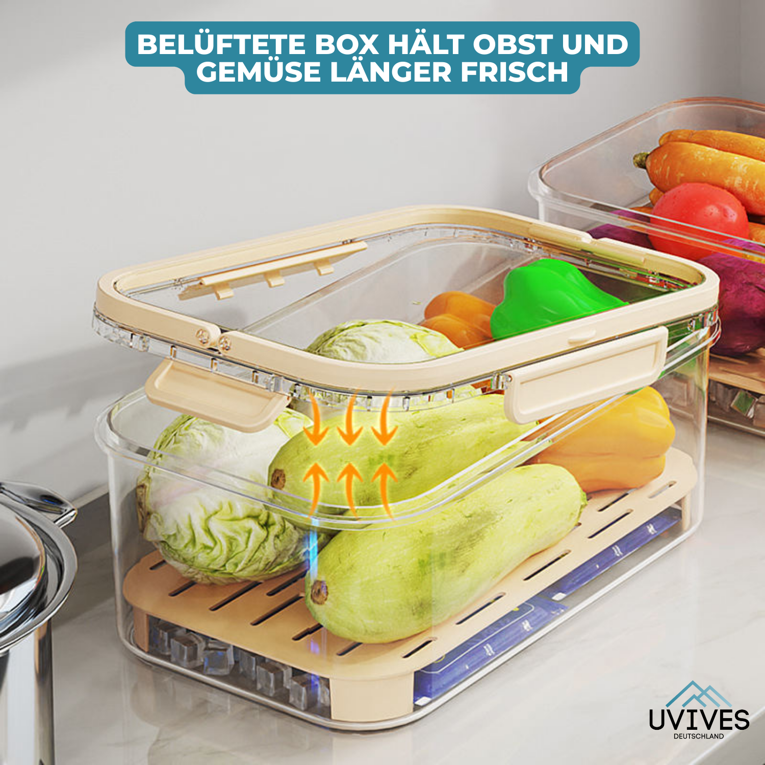 SnackBox – Frische, die länger hält!