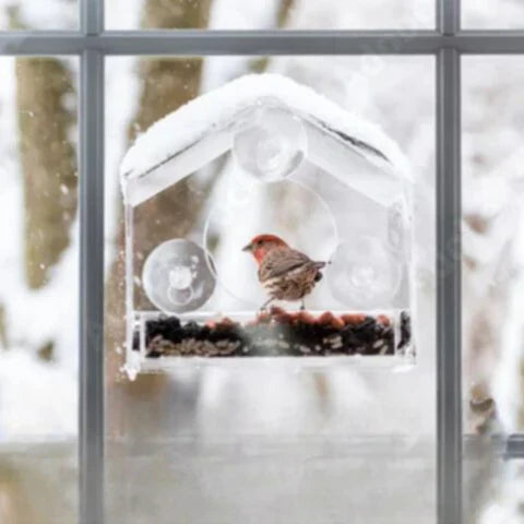 Birdelio Fenster-Vogelhaus | Transparent & Wetterfest | Mit Saugnäpfen | Für Naturnahe Vogelbeobachtung