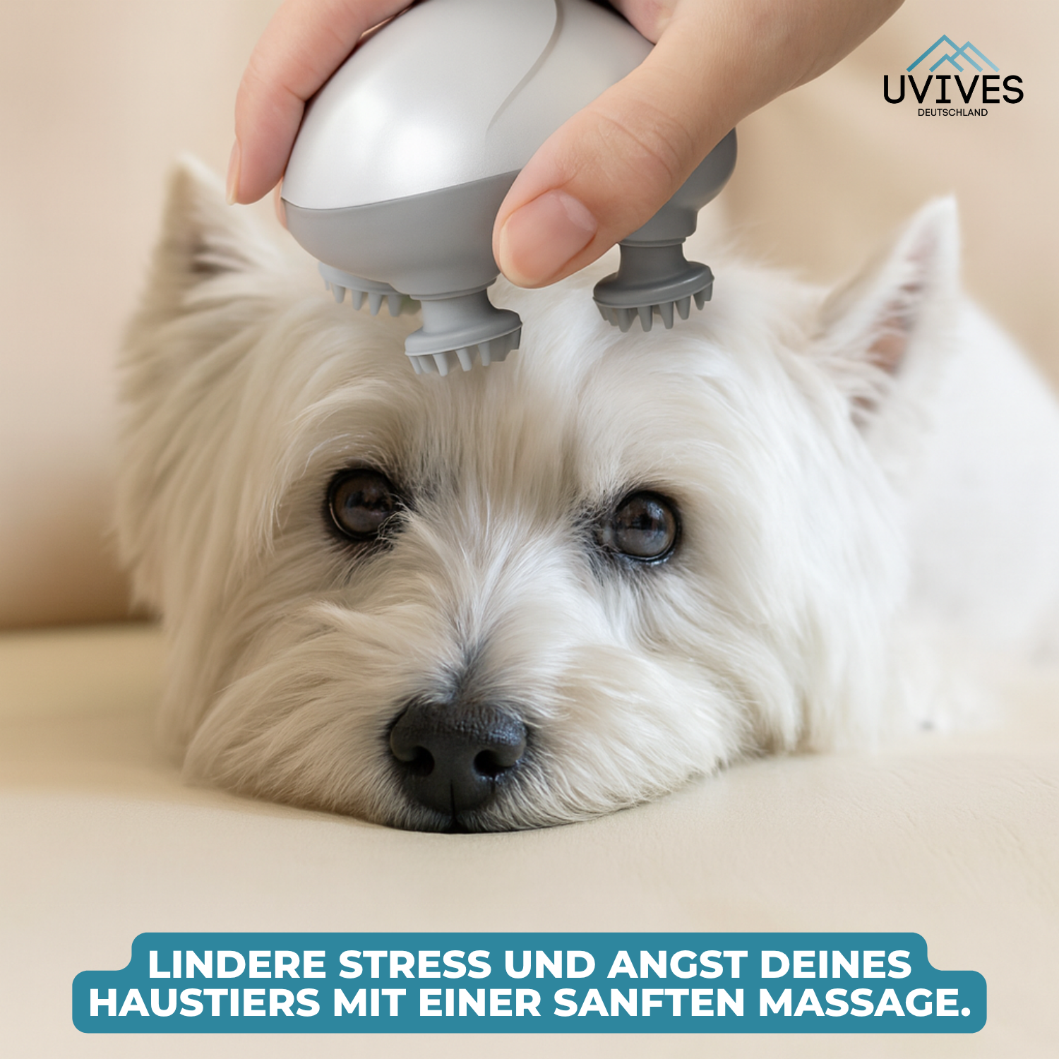 PurrEase – Entspannung, die deine Katze lieben wird!