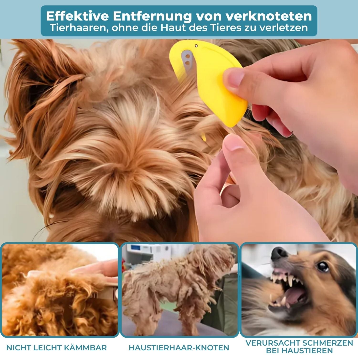 PetSanity™ - Der sichere, dauerhafte und wirksame Milbenentferner für Katzen und Hunde [Letzter Tag Rabatt]
