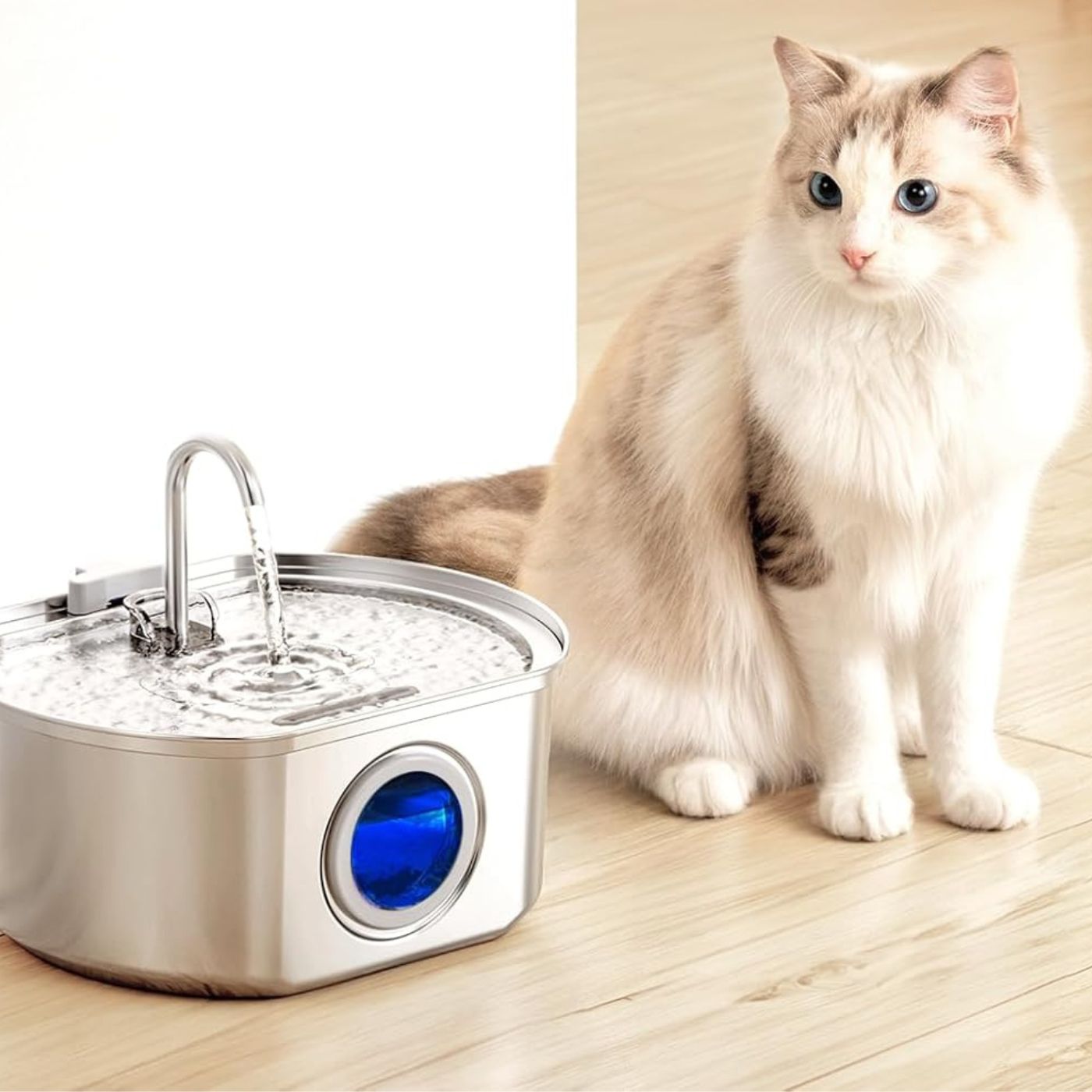 Aquaelix Trinkbrunnen Katze | Edelstahl & Hygienisch | Leise Pumpe | 2,5 L Volumen | Für Gesunde Hydration