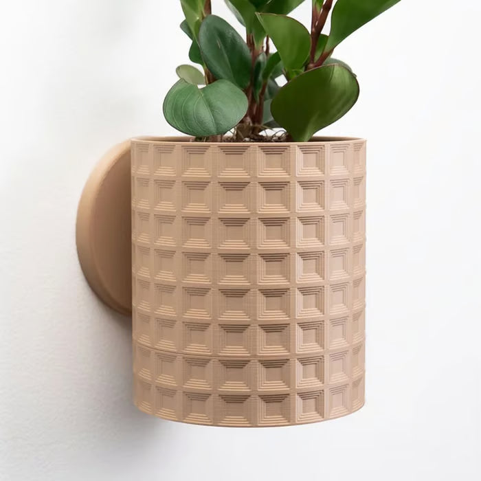 GreenWall – Verwandeln Sie jede Wand in ein Pflanzenparadies!