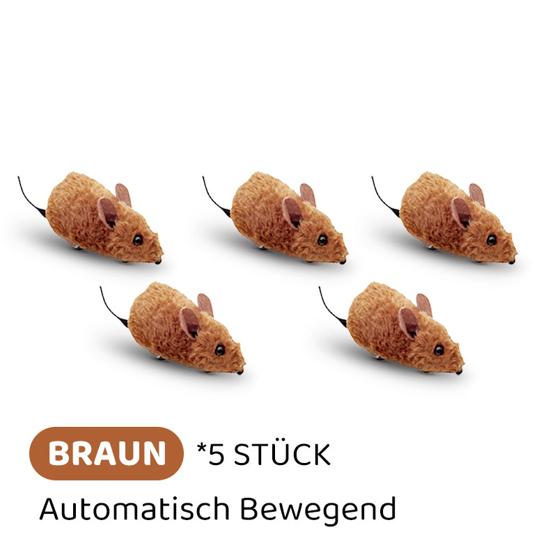 2+1 GRATIS | PawChase – Jagen, spielen, juchzen – der Spaß für deine Katze!
