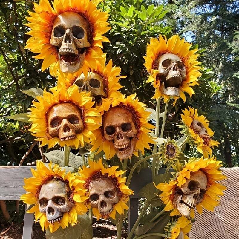 BloomSkull – Die gruselig-schöne Sonnenblume für Halloween!