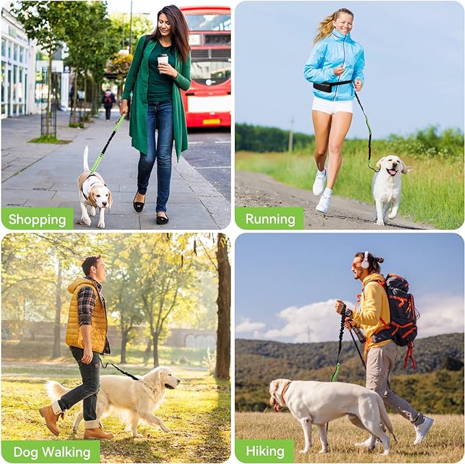 PawsFree Pro – Stressfreie Spaziergänge mit deinem Hund!