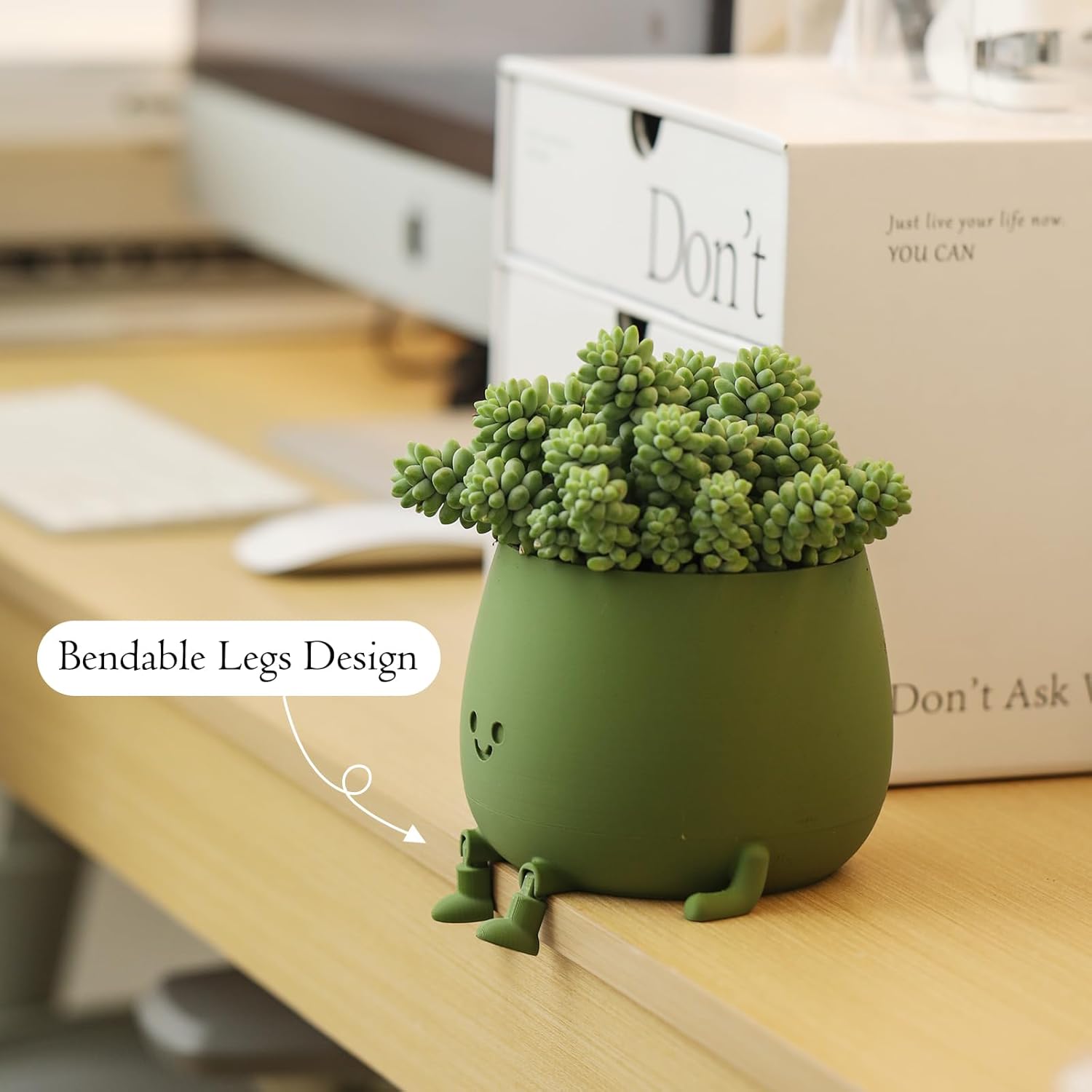 BloomBuddy – Lächelnde Pflanzen, glückliches Zuhause!