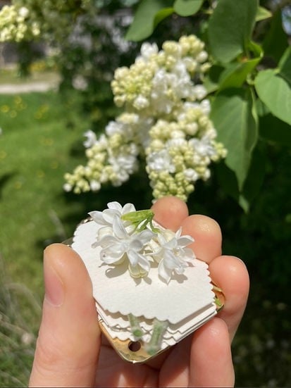 FloraKeep – Ihre Lieblingsblüten für immer bewahren!