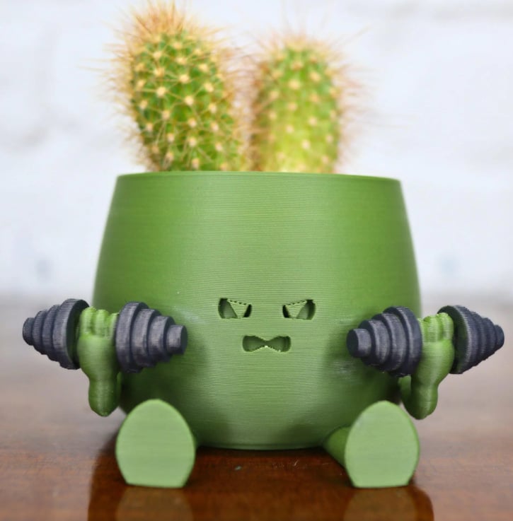 BloomBuddy – Lächelnde Pflanzen, glückliches Zuhause!