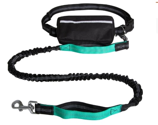 PawsFree Pro – Stressfreie Spaziergänge mit deinem Hund!