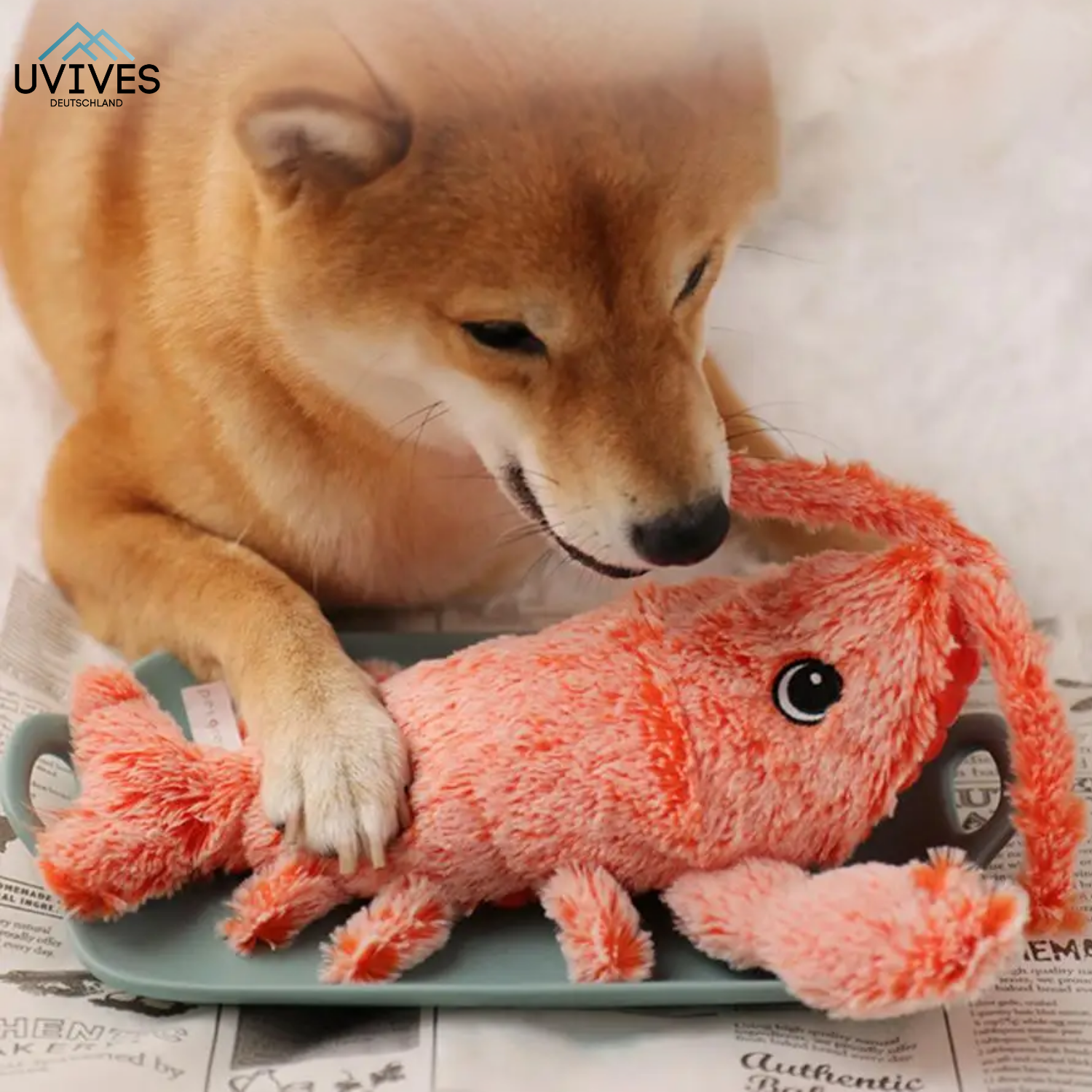 HugglePet™ – Interaktives Haustierspielzeug für Katzen & Hunde