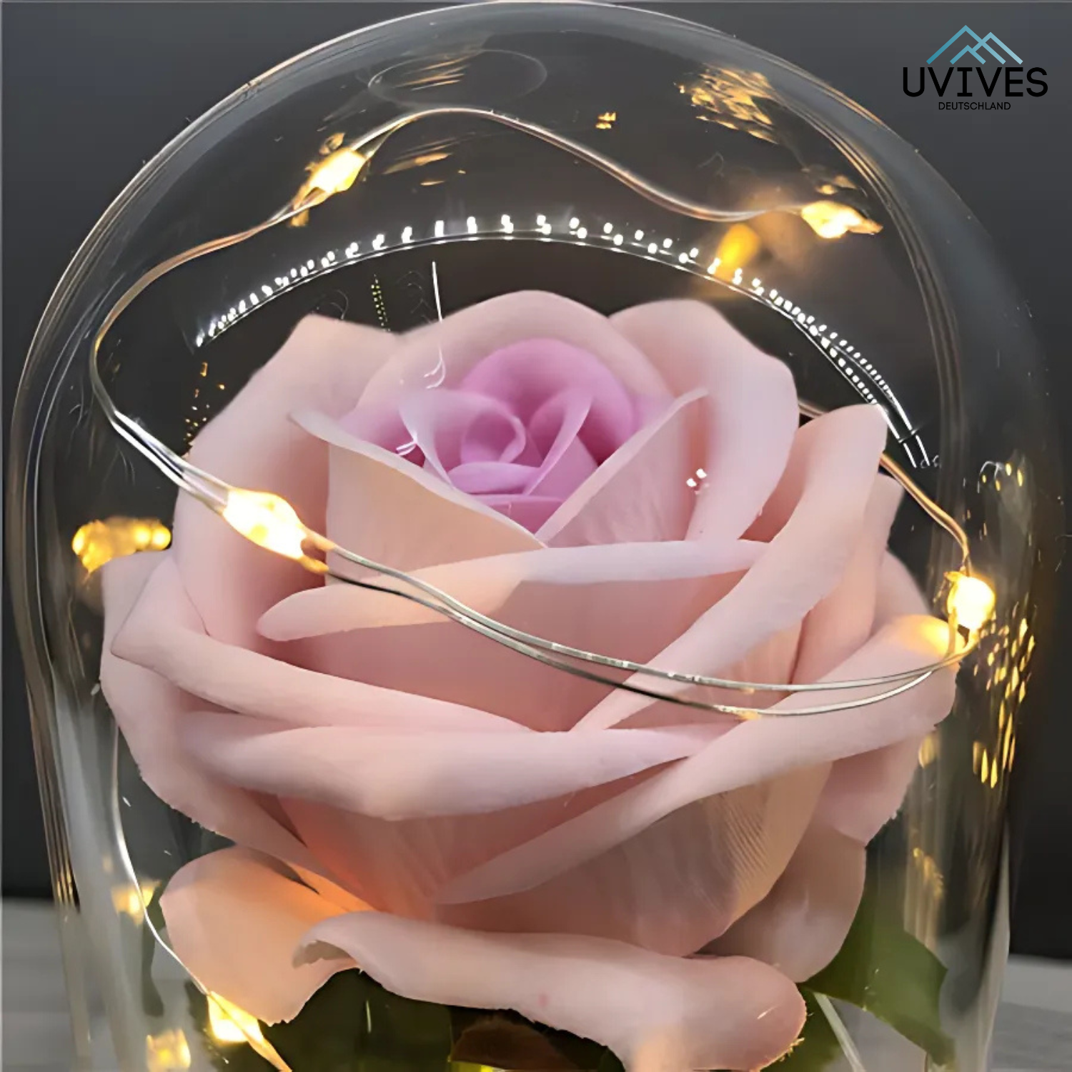 LumiRose Eternal – Liebe, die niemals vergeht!