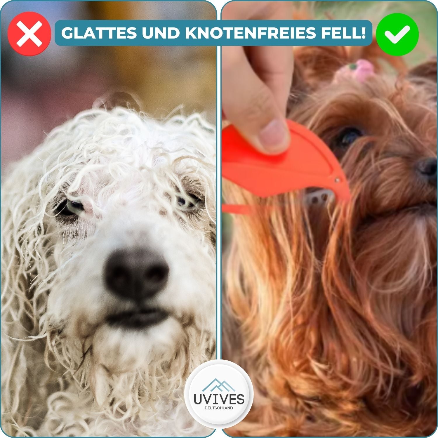 PetSanity™ - Der sichere, dauerhafte und wirksame Milbenentferner für Katzen und Hunde [Letzter Tag Rabatt]