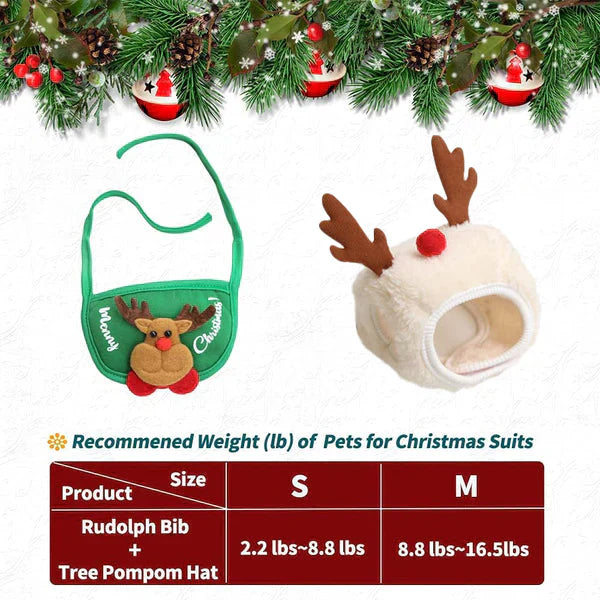 MerryPaw – Lass dein Haustier zum Weihnachtsstar werden!