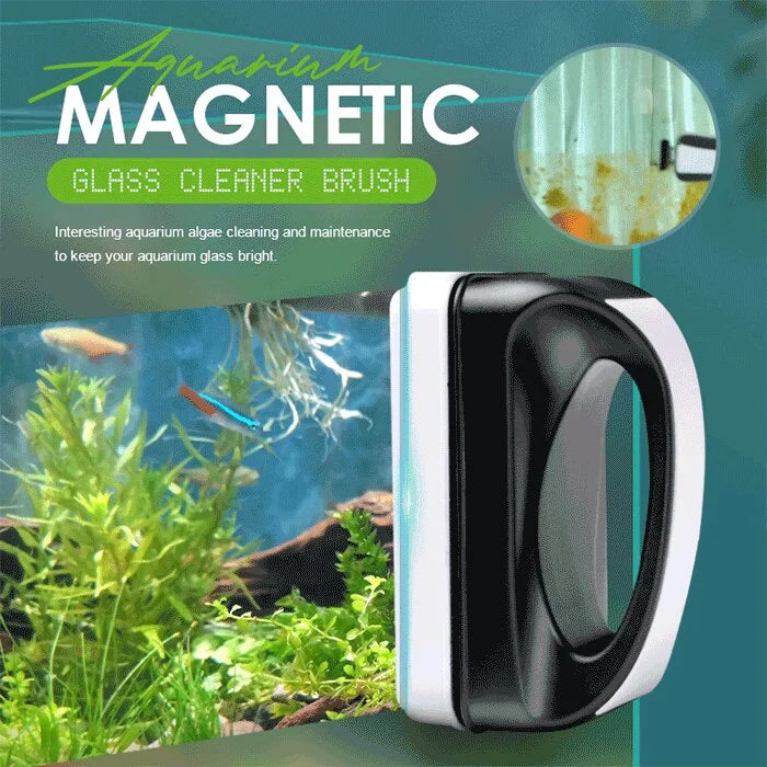 AquaCrystal – Kristallklares Aquarium ohne Mühe