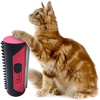 PetCare – Für glänzendes Fell & glückliche Haustiere!
