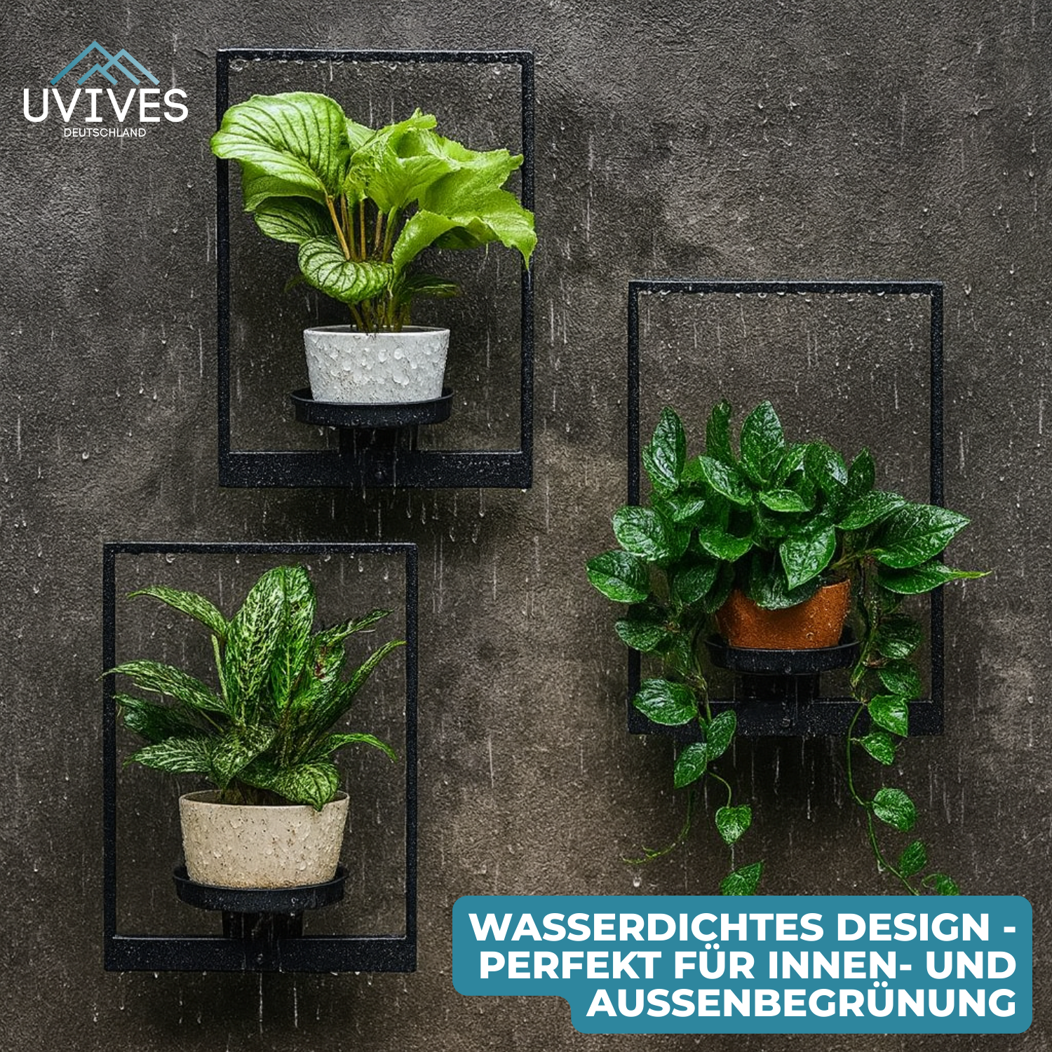 VerdeFrame – Mehr Platz, mehr Stil, mehr Natur!