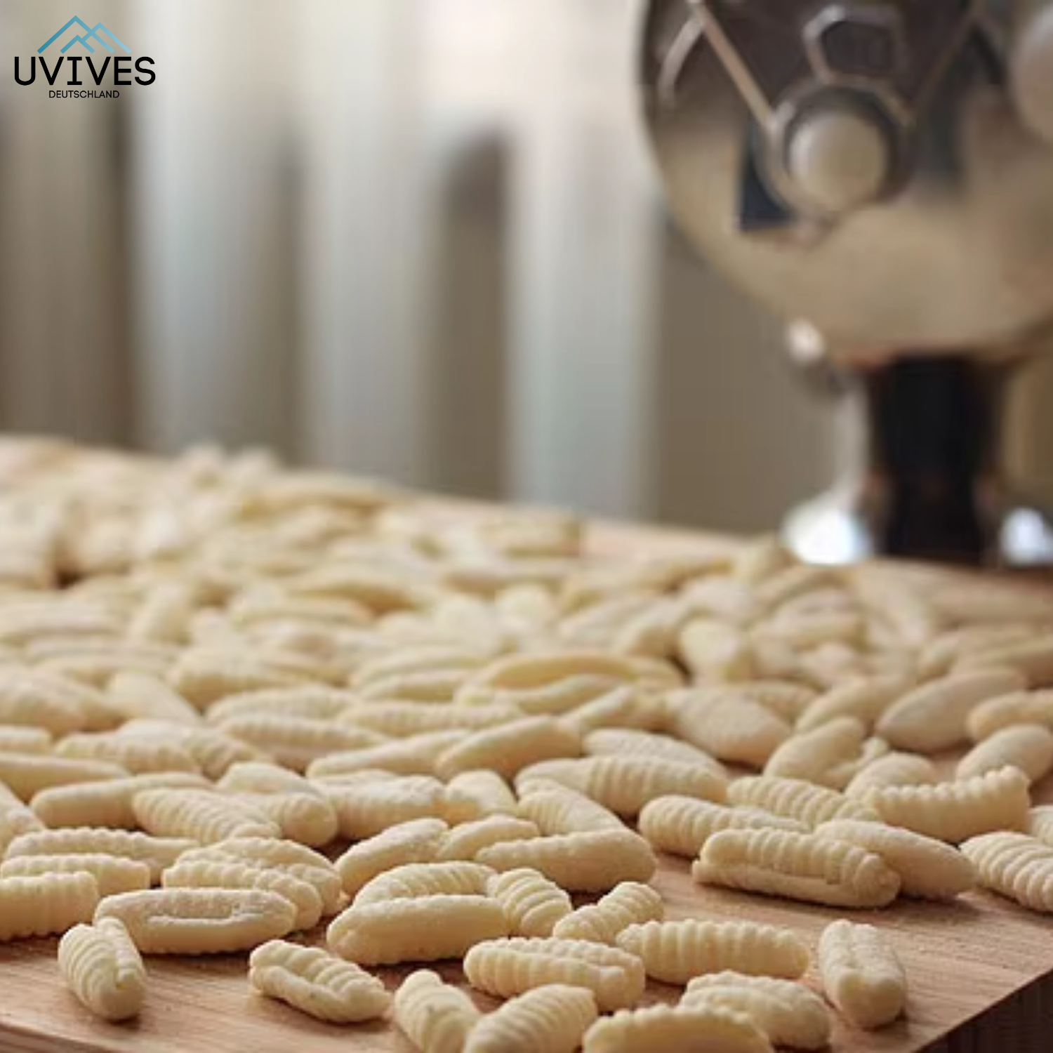 NudelPro™ – Frische Pasta ohne Kraftaufwand – Uvives NudelPro™ – Frische Pasta ohne Kraftaufwand – Uvives