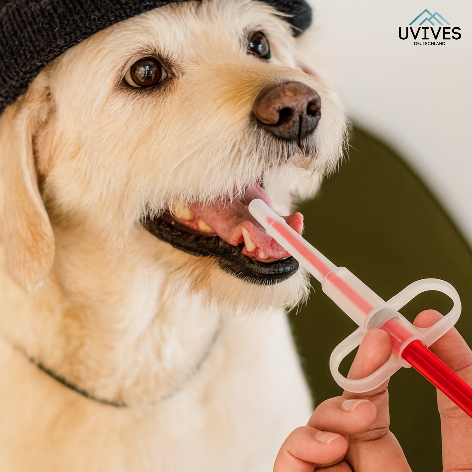 1+1 GRATIS | PetFeeder Pro – Stressfreie Medikamentengabe für Haustiere!